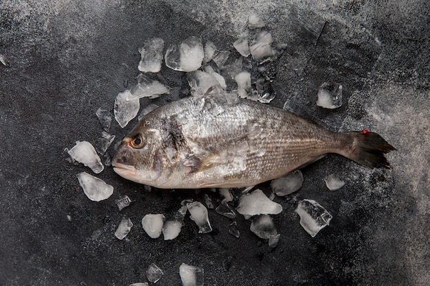 Vista superior de pescado en hielo