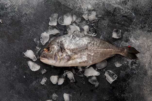 Vista superior de pescado en hielo