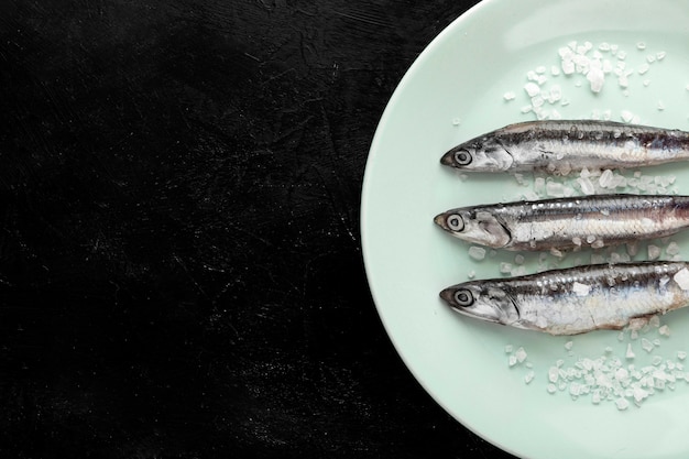 Foto gratuita vista superior de pescado en un plato con sal y espacio de copia