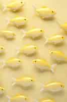 Foto gratuita vista superior pez dorado 3d en estudio