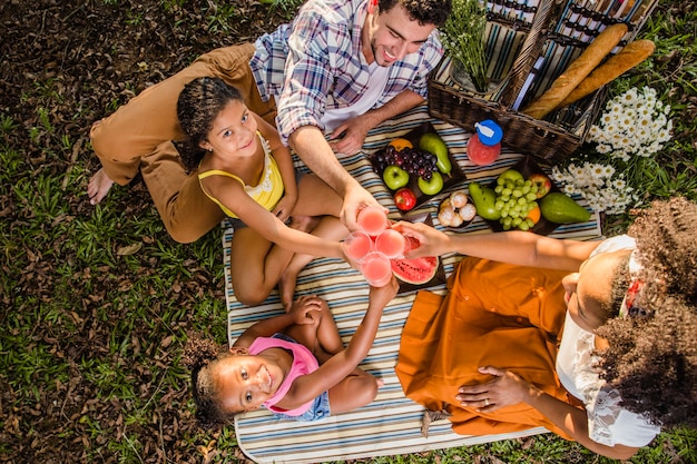 Vista superior de picnic en familia