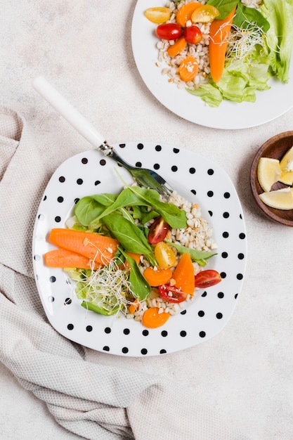 Vista superior del plato con zanahorias y otros alimentos saludables