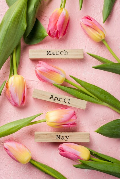 Vista superior primavera meses etiquetas con tulipanes al lado