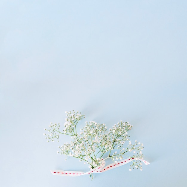 Foto gratuita vista superior de ramita floral en cinta