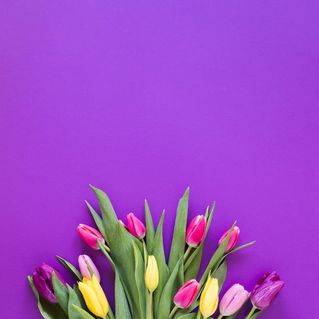 Vista superior ramo de flores de tulipán sobre fondo violeta copia espacio
