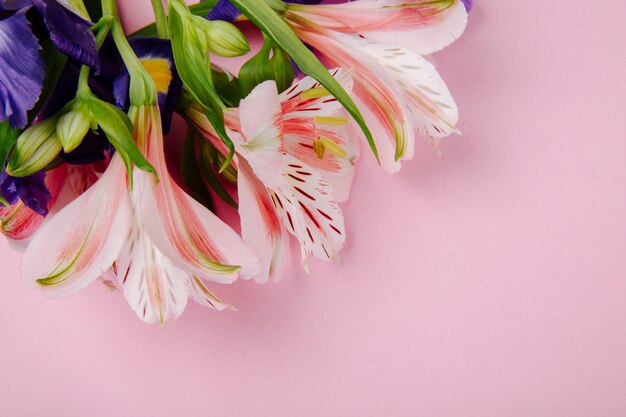 Vista superior de un ramo de iris de color púrpura oscuro y rosa y flores de alstroemeria sobre fondo rosa con espacio de copia