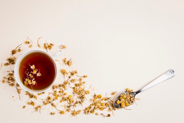 Vista superior de refrescantes hierbas de té