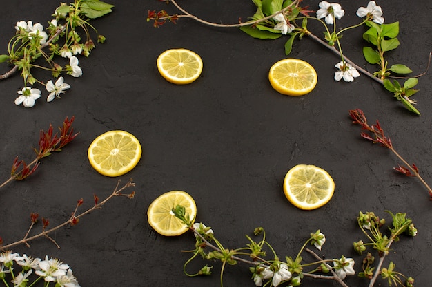 Vista superior rodajas de limón agridulce jugoso alrededor de flores blancas en el piso oscuro