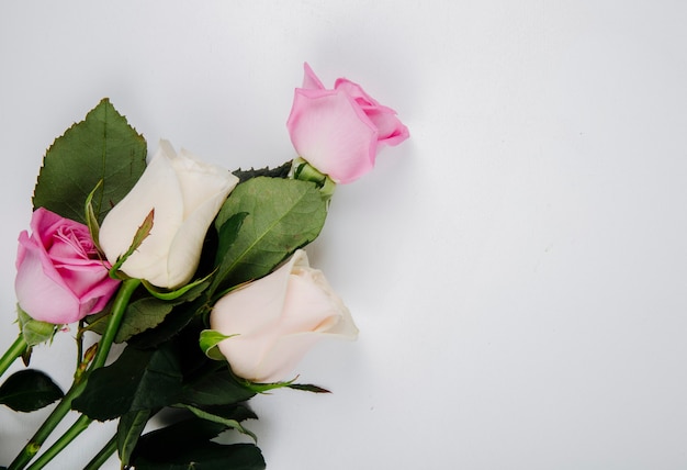 Vista superior de rosas de color rosa y blanco aisladas sobre fondo blanco con espacio de copia