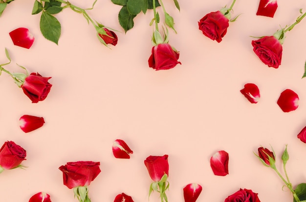 Vista superior de rosas y pétalos románticos