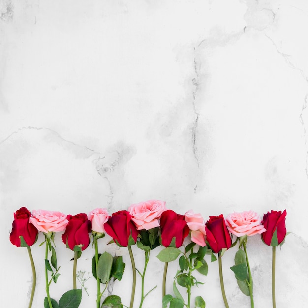 Vista superior de rosas de primavera con espacio de copia y fondo de mármol