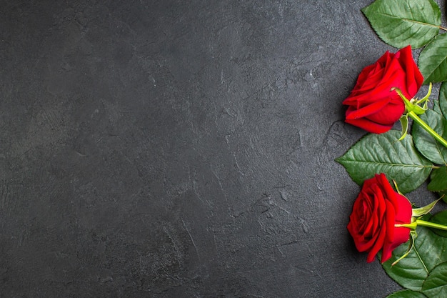 Vista superior de rosas rojas para el día de san valentín sobre fondo gris color amor pareja amante sentimiento corazón mujer pasión espacio libre