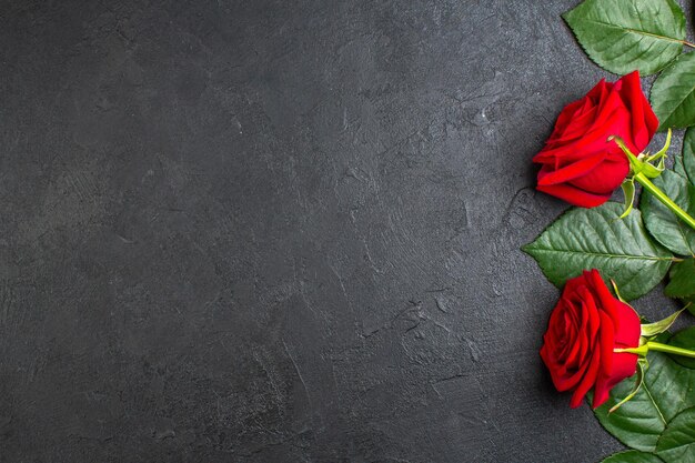 Vista superior de rosas rojas para el día de san valentín sobre fondo gris color amor pareja amante sentimiento corazón mujer pasión espacio libre