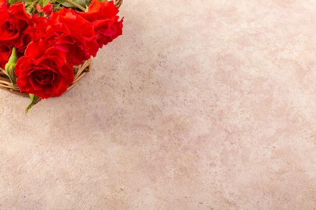 Una vista superior de rosas rojas hermosas flores rojas aisladas en mesa y rosa