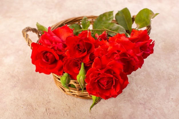 Una vista superior de rosas rojas hermosas flores rojas dentro de la cesta aislada en la mesa y rosa