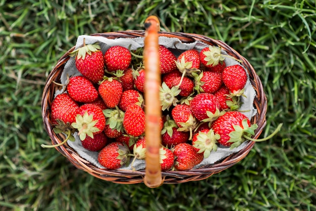 Foto gratuita vista superior sabrosa cesta de fresas