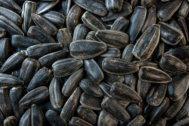 Vista superior de semillas de girasol negras sobre fondo oscuro color de foto de semilla de cips de aceite de bocadillo de maíz