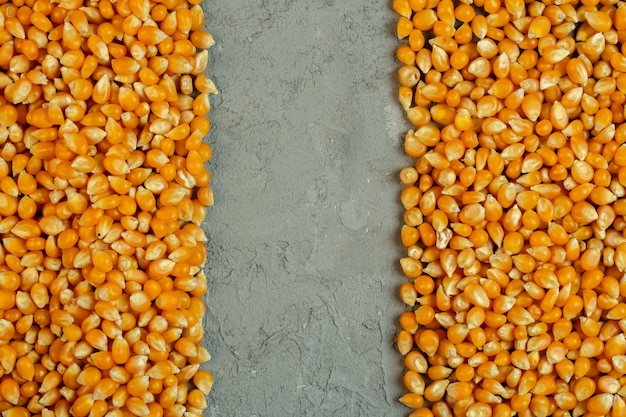Vista superior de semillas de maíz secas con espacio de copia en el centro en gris