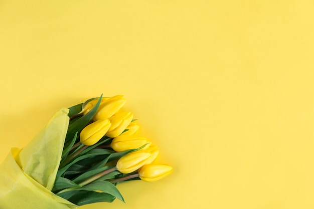 Vista superior de superficie amarilla con tulipanes