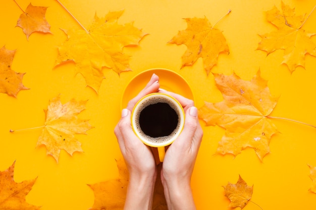 Foto gratuita vista superior taza de café con hojas de otoño