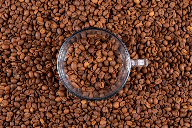 Vista superior de la taza de vidrio en la superficie de granos de café