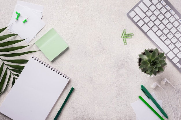 Vista superior del teclado en el escritorio con plantas y hojas suculentas