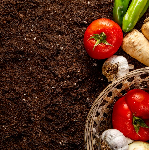 Vista superior de tomates con canasta de verduras