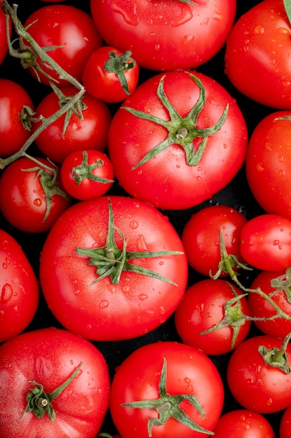 Foto gratuita vista superior de tomates frescos maduros con gotas de agua sobre fondo negro