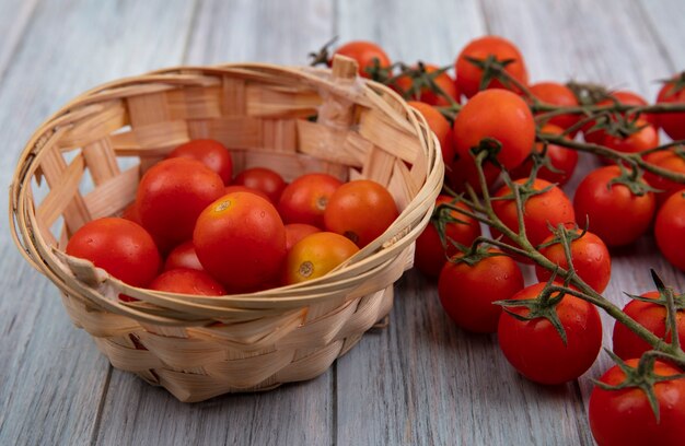 Vista superior de tomates orgánicos maduros en un balde con tomates en rama aislado sobre un fondo de madera gris