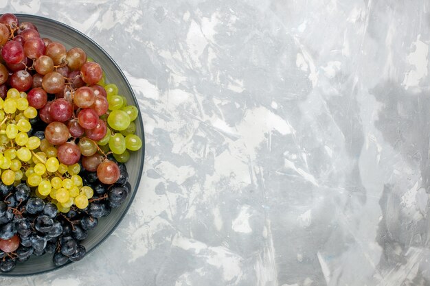 Vista superior de uvas frescas frutas jugosas y suaves dentro de la placa sobre fondo blanco frutas jugo suave vino fresco