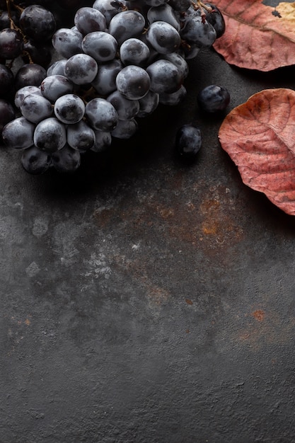 Foto gratuita vista superior de uvas y hojas de espacio de copia