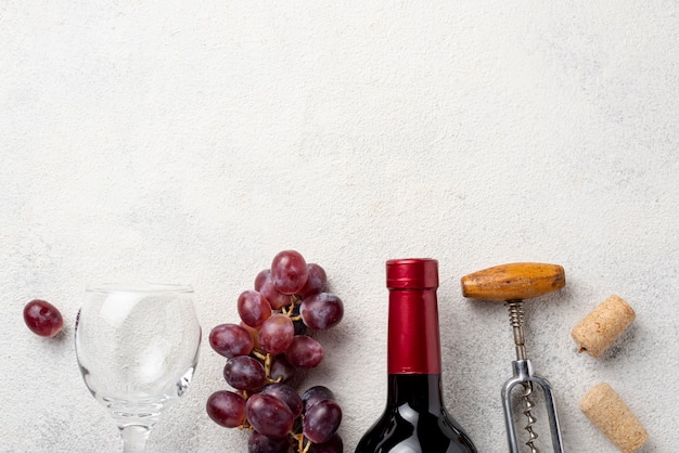 Vista superior de uvas organinc para vino