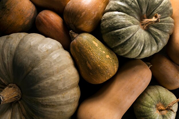 Vista superior de la variedad de calabaza de otoño.