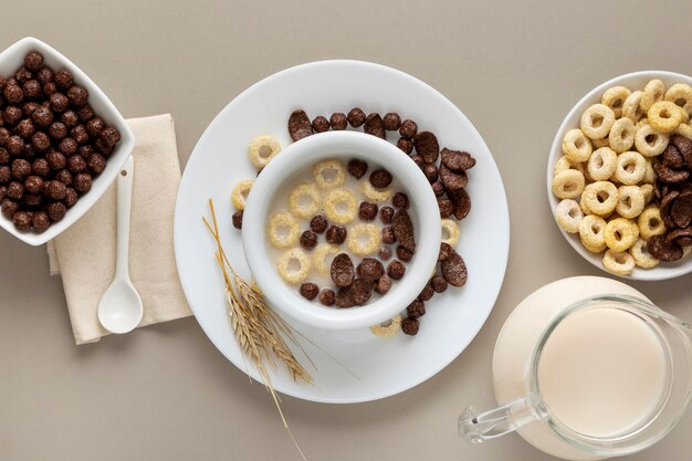 Vista superior de varios cereales para el desayuno en un tazón con leche