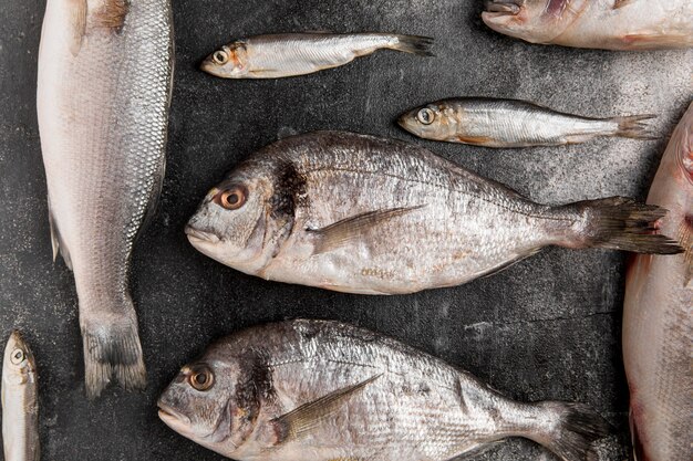 Vista superior de varios pescados de mariscos plateados