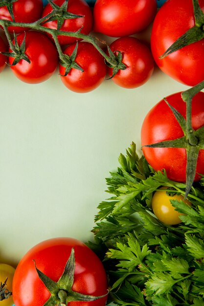 Vista superior de verduras como cilantro y tomate en superficie blanca