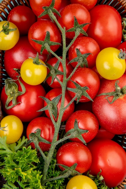 Vista superior de verduras como tomates y cilantro en canasta