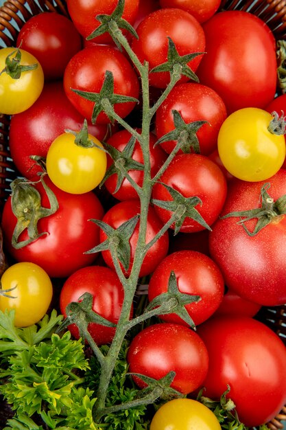 Vista superior de verduras como tomates y cilantro en la cesta como superficie