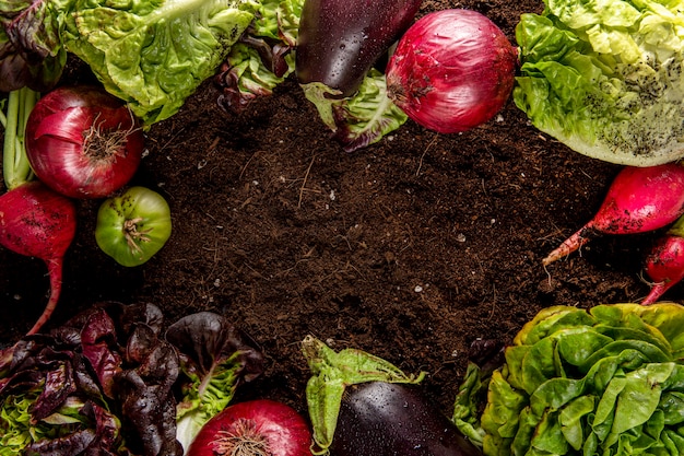 Vista superior de verduras con ensalada y berenjenas