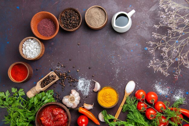 Vista superior de verduras frescas con verduras y diferentes condimentos en el espacio oscuro