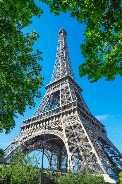 Vista de la Torre Eiffel y los árboles, París