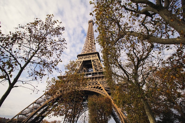 La vista de la Torre Eiffel desde el parque