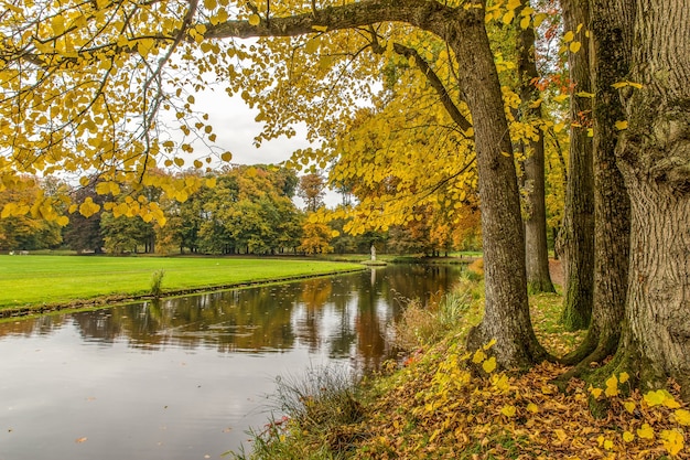 Vista tranquila de un parque con un lago y árboles en un día nublado