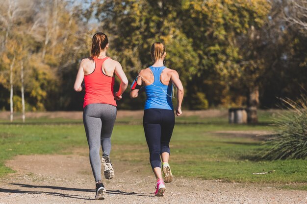 Vista trasera de deportistas saludables corriendo al aire libre