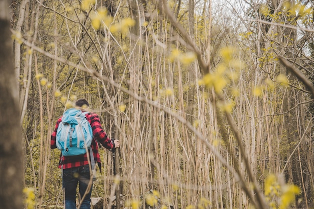 Vista trasera de excursionista caminando a través del bosque