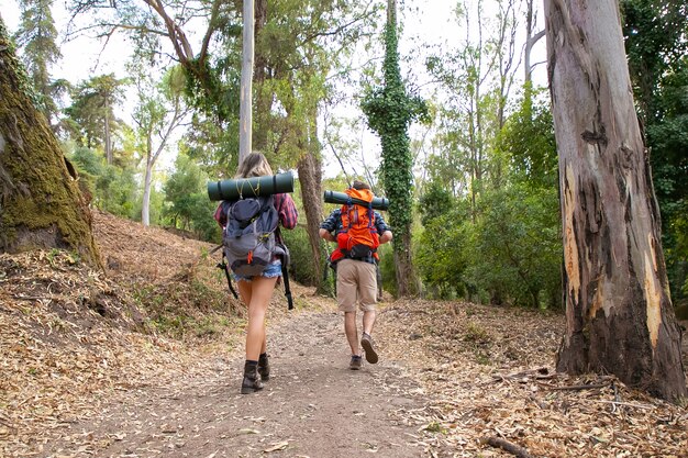 Vista trasera de excursionistas caminando por senderos montañosos. Excursionistas caucásicos o viajero con mochilas con viaje juntos y senderismo en el bosque. Turismo de mochilero, aventura y concepto de vacaciones de verano.