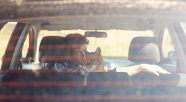 Vista trasera hombre sosteniendo un gato en coche