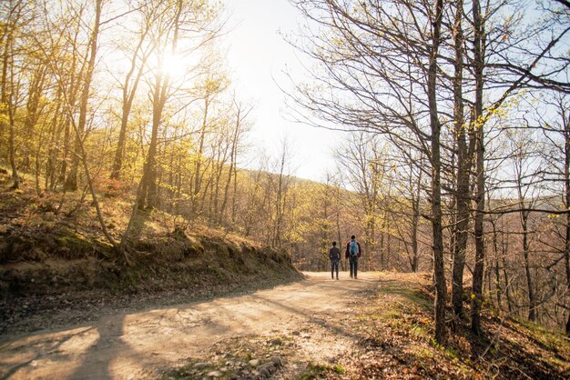 Vista trasera de pareja caminando por el bosque