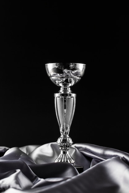Vista del trofeo de la copa de plata