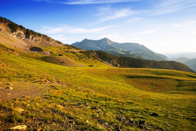 Vista de verano de la pradera de las tierras altas